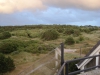 Uitzicht op duinen rondom het complex huisje ameland vakantie