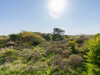 Uitzicht duinen ameland vakantie